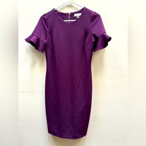 Calvin Klein 8P Plum Dress